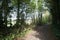 A countryside walkers path