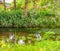 Countryside water nature landscape with a river trees and grass