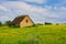 Countryside wide view of old ruined house with trees behind. Rural summer landscape. European pastoral field.