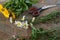 Countryside Wild Flowers Picking Herbalism. Holistic Medicinal Plants Herbs. Rural Wooden Deck. Herbal. Agriculture, Harvest.