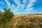 Countryside, wild meadow and blue