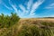 Countryside, wild meadow and blue sky