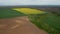 Countryside with yellow and green fields