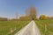 Countrysideroad along green meadows with trees in the flemish countyside