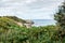 County Durham UK: 26th July 2020: Durham Heritage Coast in Summer time with lots of foliage