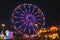 County Fair at night Ferris Wheel on the Midway