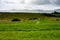 COUNTY SLIGO, IRELAND - AUGUST 25, 2017: Carrowmore Megalithic Cemetery in Sligo, Ireland