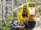 County Worker Cutting Trees on a Road