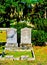 Couple from 1800s Buried in Savannah Bonaventure Cemetery