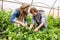 Couple of agriculturists harvesting agricultural crops together