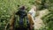 Couple backpackers walking by forest's thick trees path, rear view