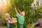 Couple with basket picking apples.