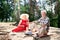 Couple of beaming elderly wife and husband sitting on sand having picnic