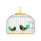 Couple of beautiful birds with colorful lush tails. Feathered creatures in vintage hanging cell. Simple flat style