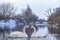 Couple of beautiful white swans wintering at river. Romantic background with birds