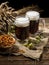 Couple beer mug with hop and pretzels on linen cloth