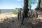 Couple of bicycles standing under pine trees on a sandy beach