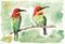 Couple birds bee eaters seating on the branch closeup artwork portrait. China ink and watercolor hand drawn on watercolour paper