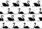 Couple of black swan. Seamless pattern.