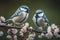 Couple of Blue Tit (Parus caeruleus) on Cherry Blossom generative ai