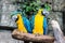 Couple blue-yellow parrots sit on a branch.