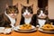 A couple of cats sitting next to plates of food.