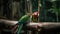 Couple of colorful parrots on a tree branch