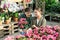 Couple customer-onlooker curiously examines showcase exhibition with indoor plant poinsettia