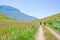 Couple cycling mtb in blooming cultivated fields, famous colourful flowering plain in the Apennines, Castelluccio di Norcia