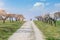 Couple cycling on their bicycles on a country track between meadow grass and trees. Outdoors activity and sports. Health lifestyle