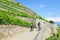 Couple of cyclists on path along beautiful terraced vineyards on the slopes adjacent to Geneva Lake, Switzerland. Famous lake, in