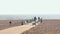 Couple Cyclists riding on the beach