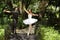 Couple dancing ballet in the park