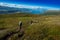 Couple descending from Norway mountain background