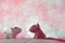 Couple dog on pink background.