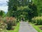 Couple and dog stroll through Rose Garden, Portland, Oregon