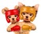 Couple of dogs wearing boxing helmet and gloves