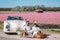 couple doing a road trip with a old vintage car in the Dutch flower bulb region with tulip fields