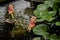 Couple dolls made of clay in pond at small garden.