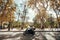 Couple driving bike in motion past green city garden Villa Bonanno with tall palm trees