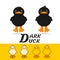 Couple duck vector illustration