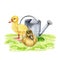 Couple of ducklings on the green grass. Hand drawn watercolor illustration. Cute little duckling chicks standing and