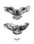 Couple eagles flying front view, with inscription, hand drawn doodle, sketch in vintage gravure style, vector