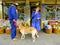 A couple eating ice creams outside a shop