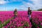 A couple embraces in a vast field of vibrant purple tulips, under the watchful gaze of towering windmill turbines in the