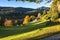 Couple Enjoying Beautiful Autumn in A Park