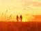 Couple enjoying an evening walk in the field at sunset