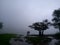 Couple enjoying romantic monsoon season