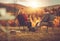 Couple Enjoying Scenic Vista From Their Camping Chairs