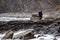 Couple enjoying their wedding at Elgol beach at Port na Cullaidh with Red Cuillin Mountains under clouds on Loch Scavaig